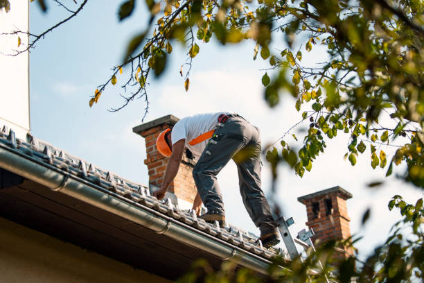 Best Roof Gutter Cleaning  in Owatonna, MN